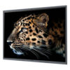 MAXHUB C6530 65" Classic Series Pro 4K Interactive Flat Panel Screens on sale