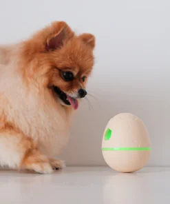 Alternative view of Cheerble Wicked Egg, Apricot